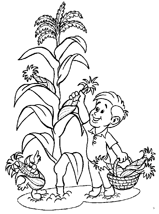 Corn stalk with little boy Vegetable Friends Coloring Pages