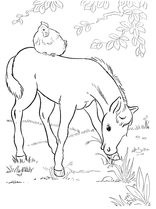 Horses Were Packed With Chickens Coloring Pages - Horse Coloring