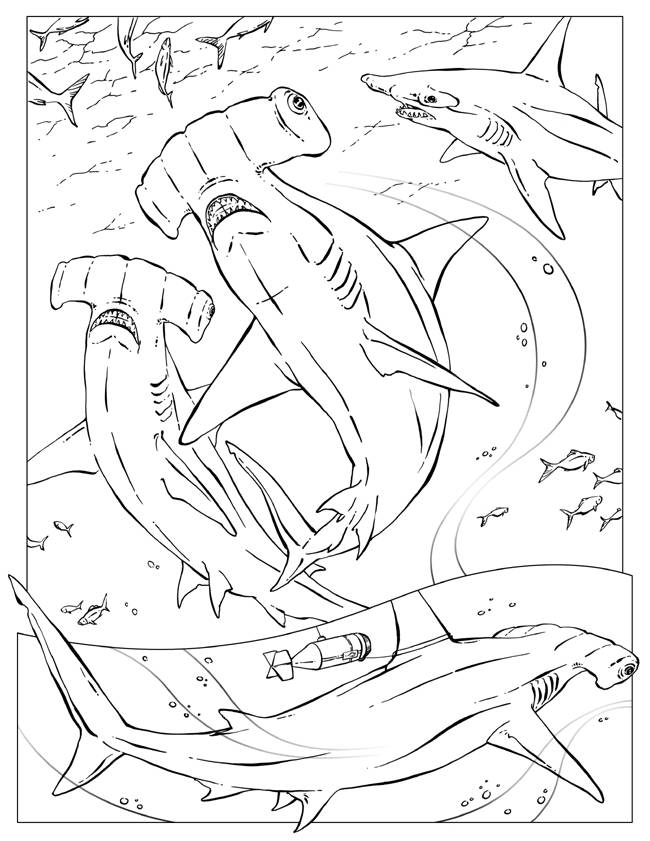 Coloring pages sharks