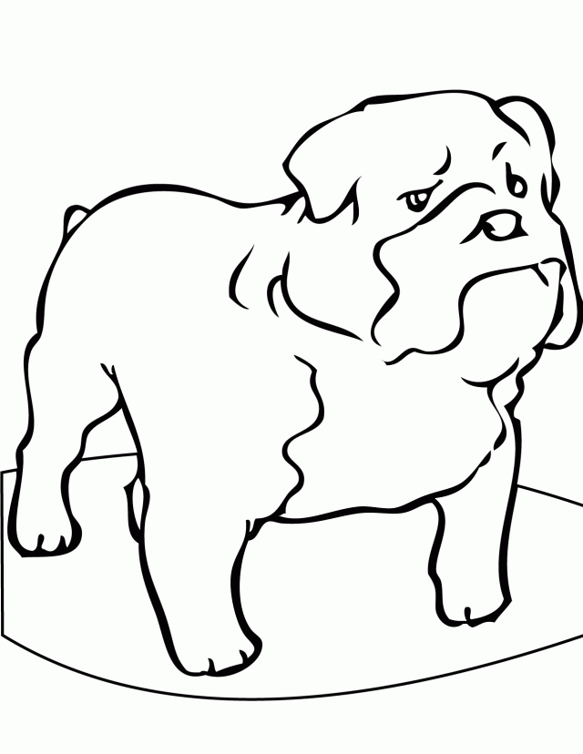 Bulldog Coloring Pages Animal Coloring Pages Printable