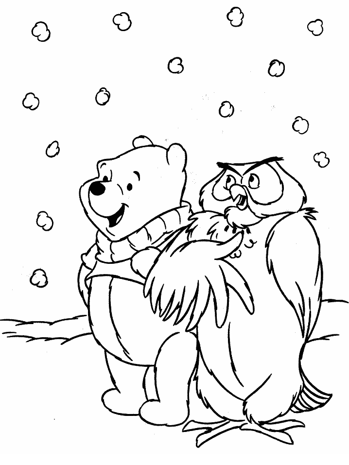 Snowy Owl Coloring Pages Images  Pictures 