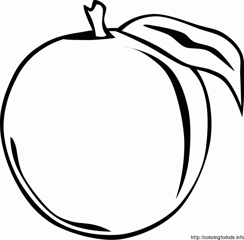 fruit coloring Page  info