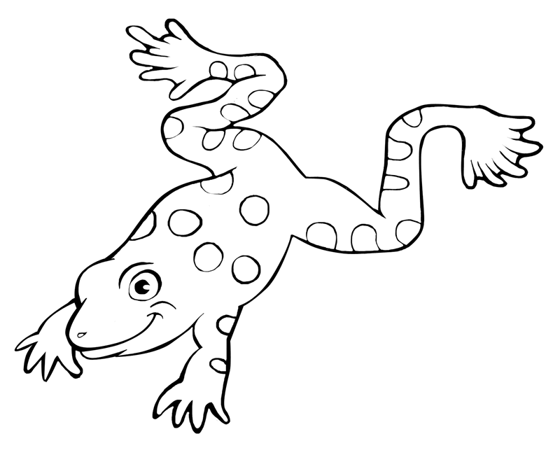 frog coloring Page
