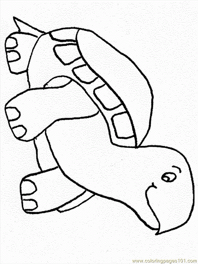 Coloring Pages Turtle Coloring Page (Reptile  Turtle)| free printable
