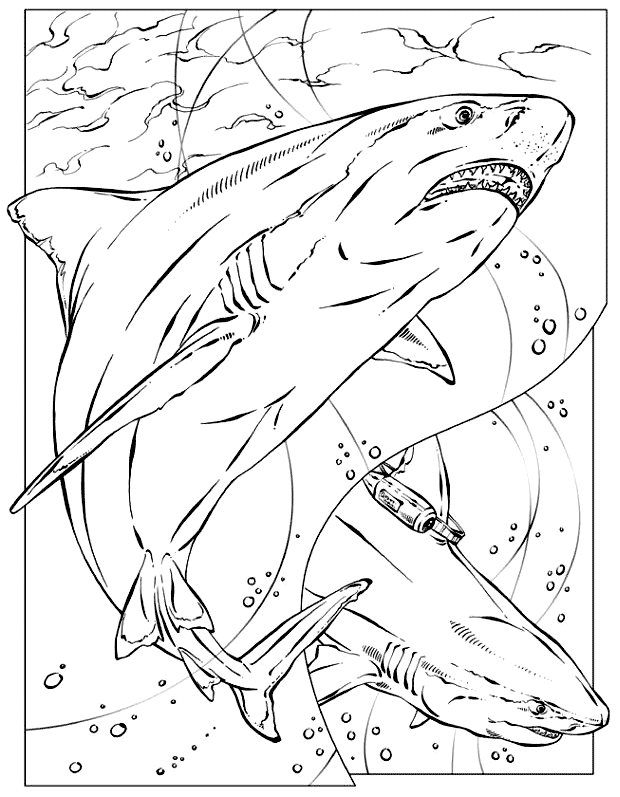 Basking Shark coloring page - Animals Town - animals color sheet