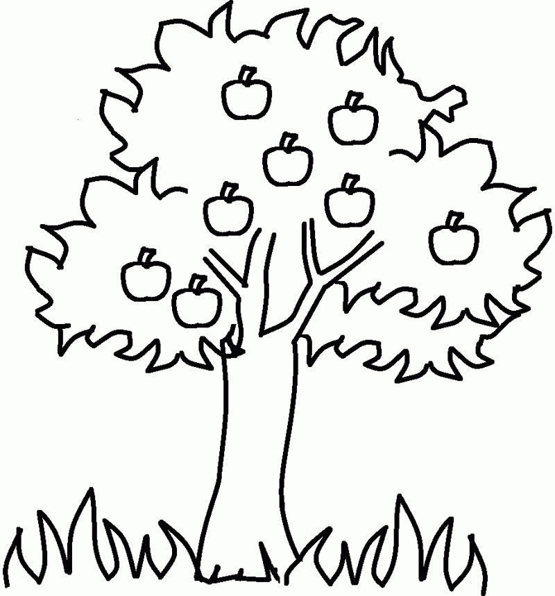 The-Apple-Tree-Coloring-Page