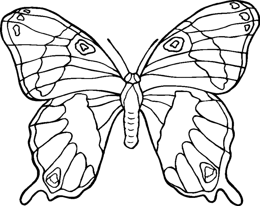 butterfly with flowers coloring pages | Printable Coloring Sheet