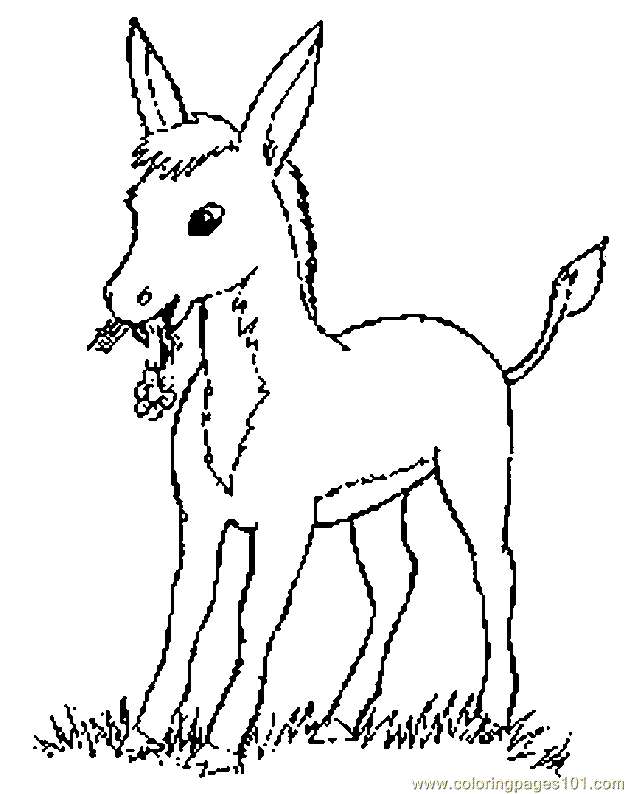 Coloring Pages Donkey Coloring  | free printable