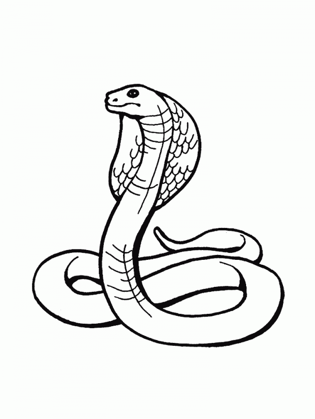 Rattlesnake Coloring Page Label Coloring Pages Of A