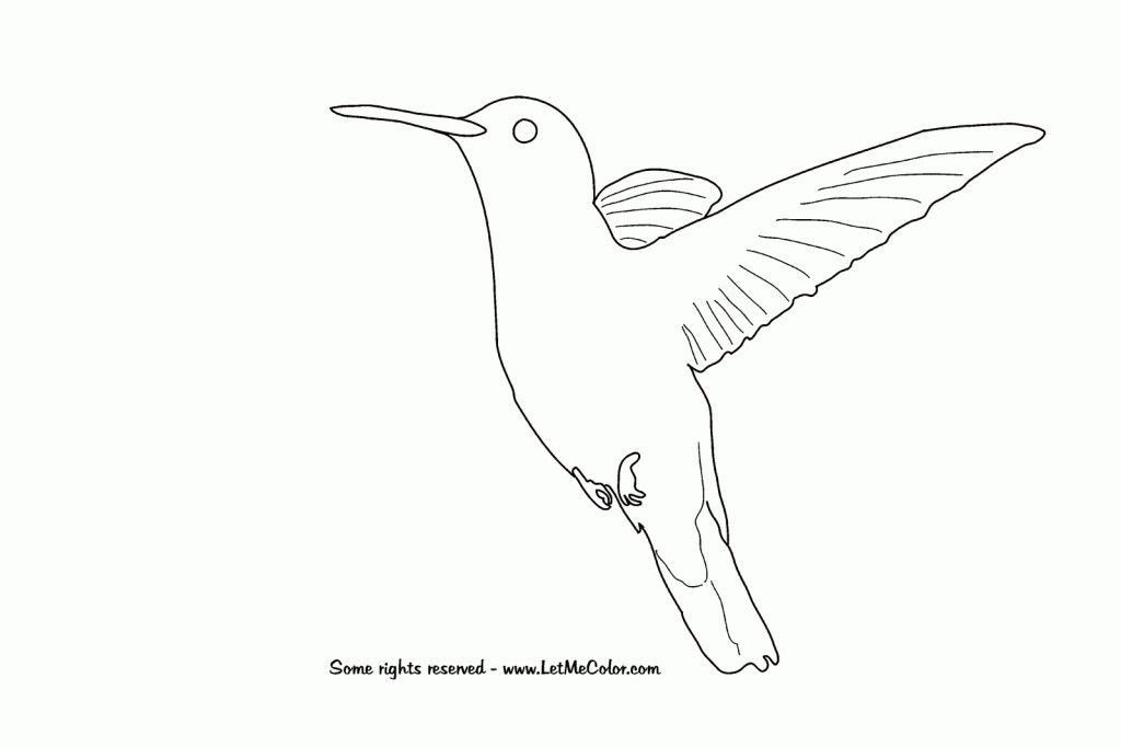 Hummingbird Coloring Pages 