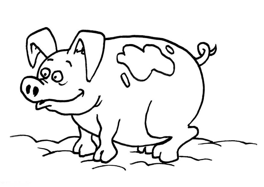 Pig| Coloring Pages for Kids 