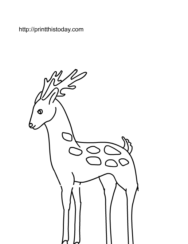 Free Printable Wild animals Coloring Pages  | Print This Today
