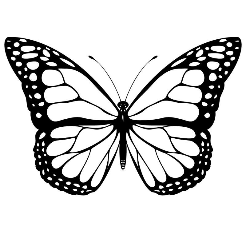 Butterfly Coloring Pages and Book | Unique Coloring Pages