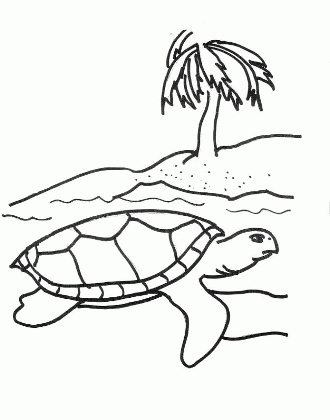 Free Printable Sea Turtle 