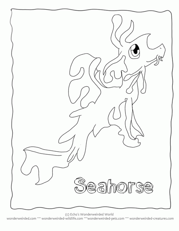 Printable Cartoon Coloring Pages Seahorse Seadragon,Echos Cartoon