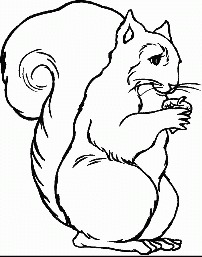 Wild Animals Coloring Pages | Free Printable Coloring Pages wild