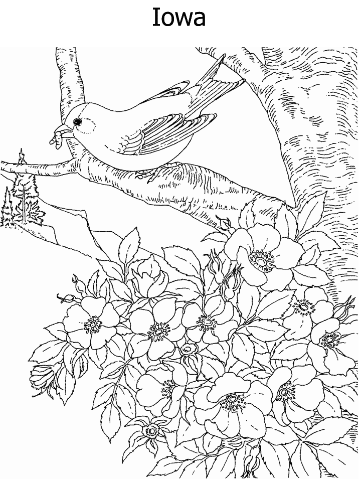 Geography Coloring Pages