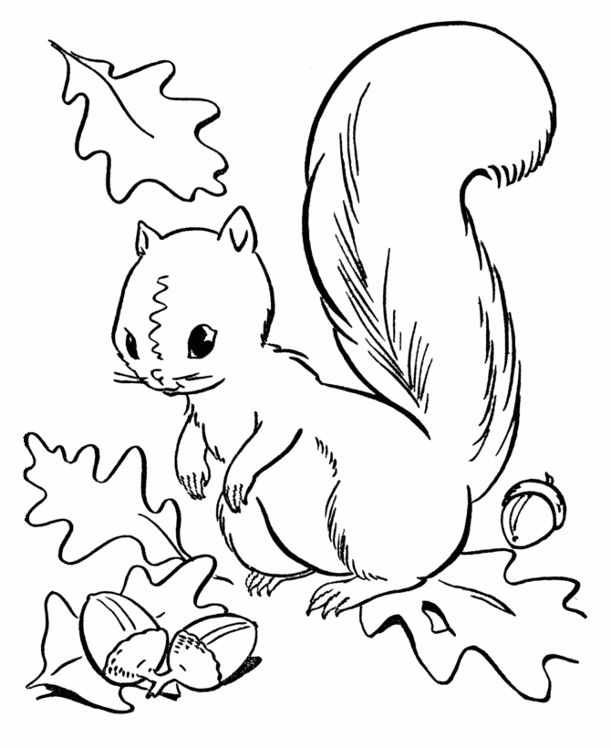 Fall Coloring pages  Collecting Acorns Coloring Page