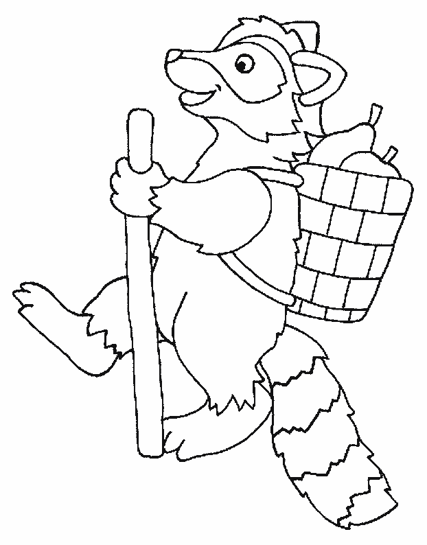 Download raccoon Coloring Pages