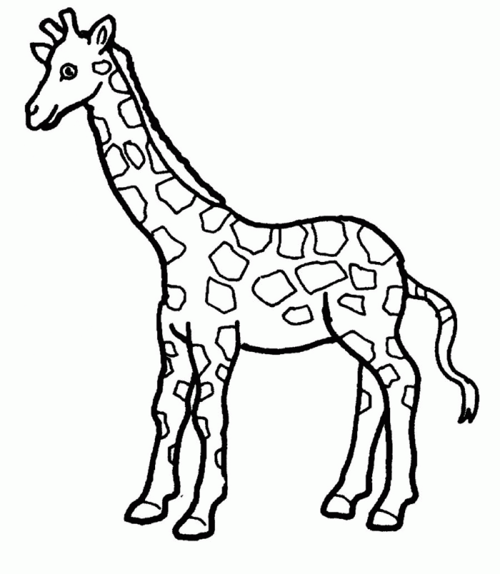 Giraffe Coloring Pages Crayola com