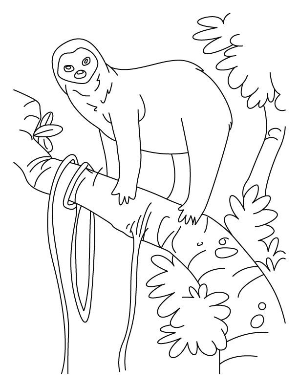 Sloth a slowest animal on Earth coloring pages | Download Free