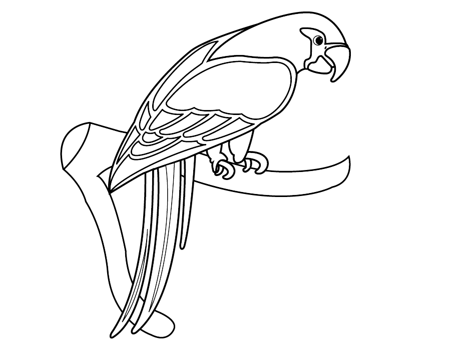 Free Parrot Pictures To Colour, Download Free Parrot Pictures To Colour png  images, Free ClipArts on Clipart Library