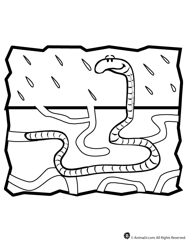 Worm Coloring Page