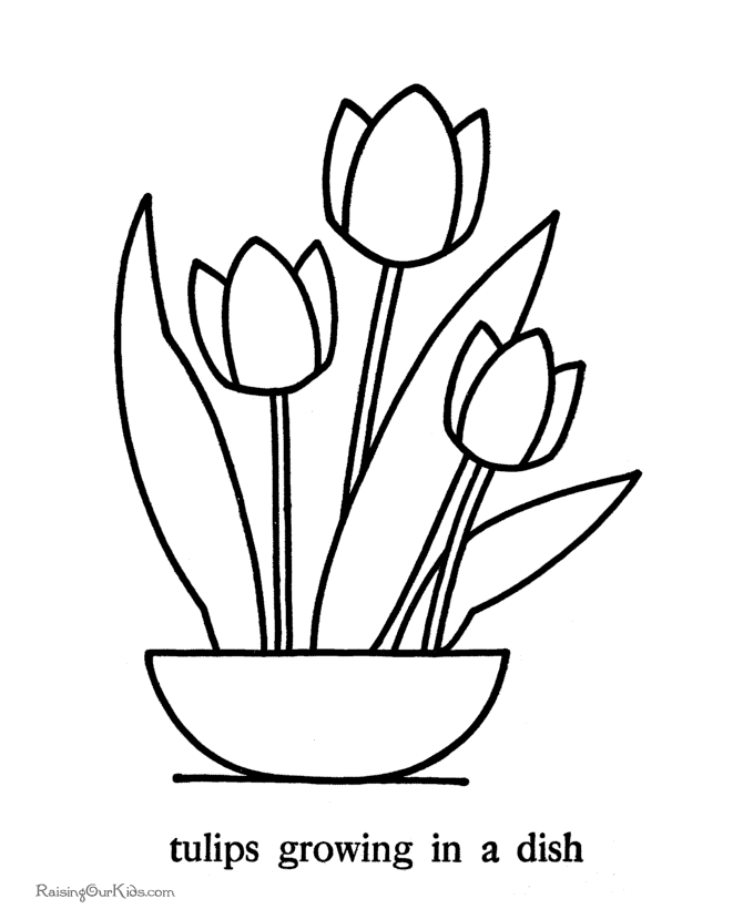 Tulips coloring pictures