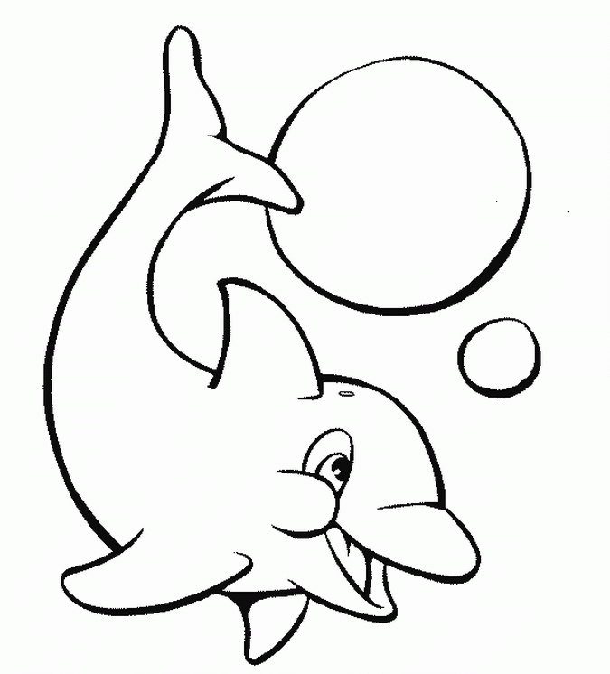 Dolphin| Coloring Pages for Kids 