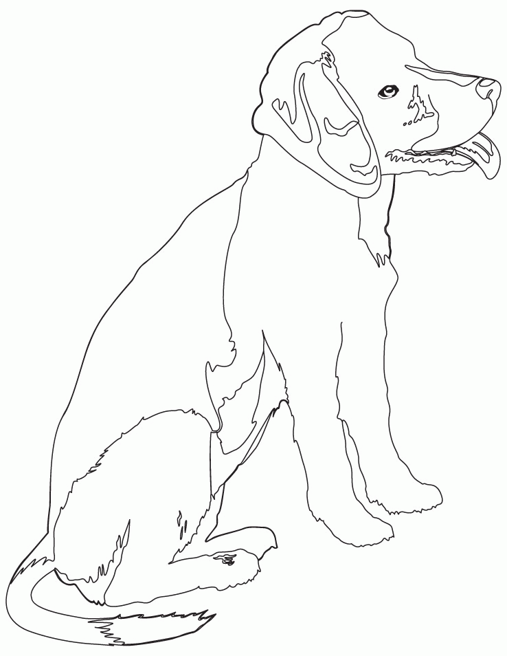 beagle puppy coloring pages