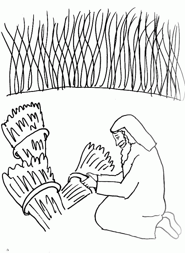 Bible Story Coloring Page for The Parable of the Wheat