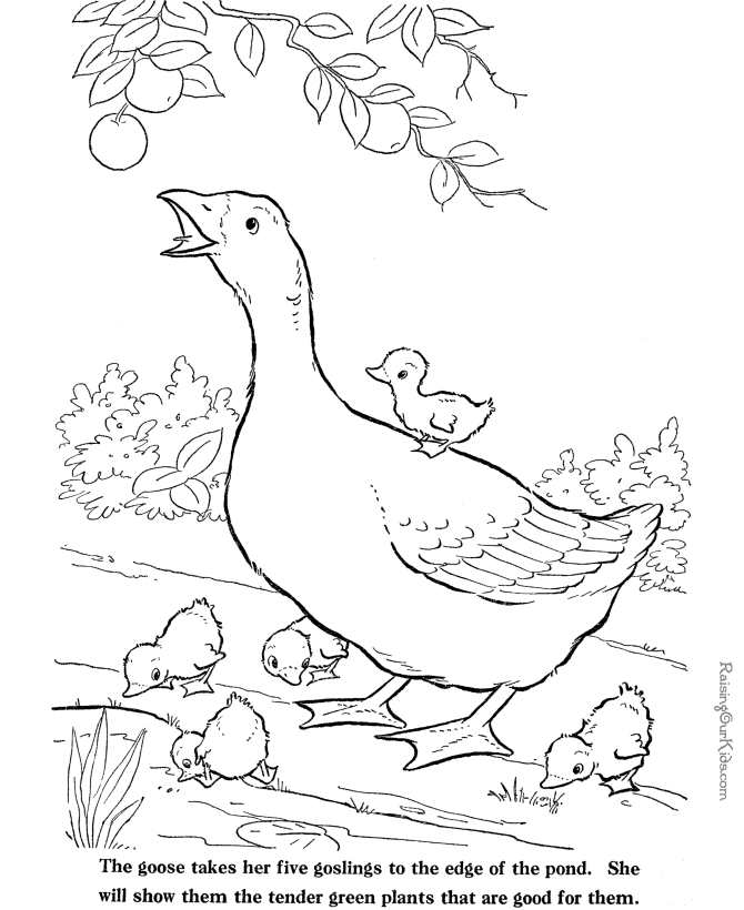 Free Printable Farm Animal Coloring Pages Are Fun But They Also