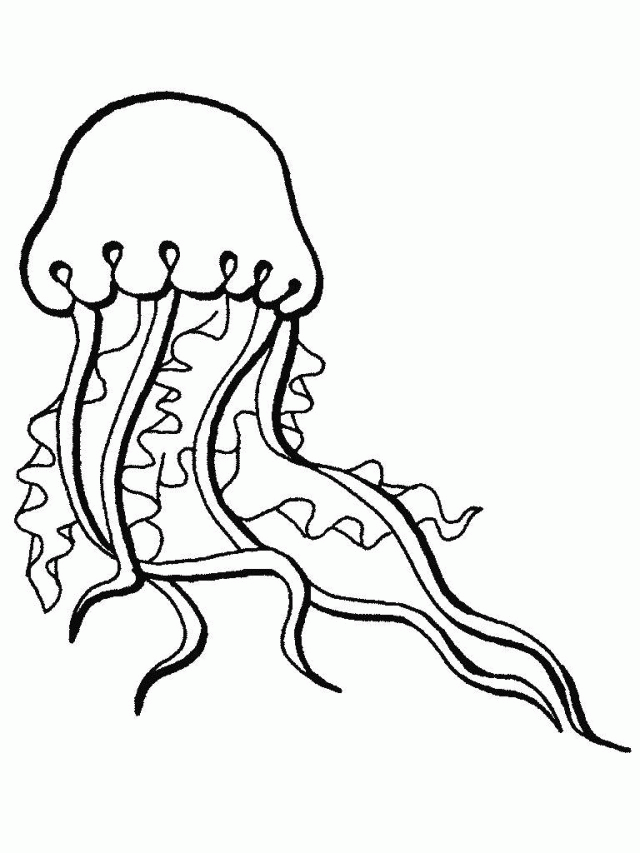 Sea Monsters Coloring Pages Coloring Book Area Best Source