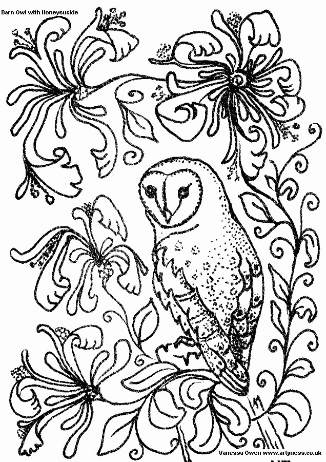 owl aboridginal kids Colouring Pages