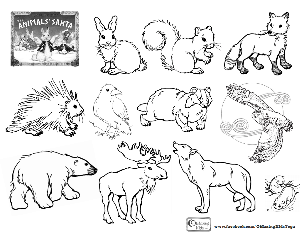 hibernation animals coloring pages   Clip Art Library