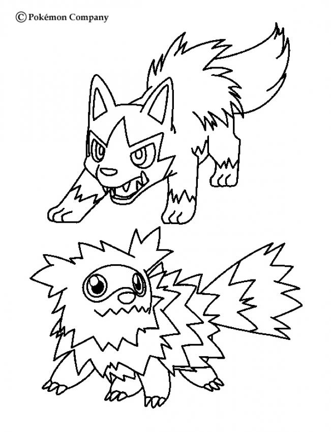 POKEMON BATTLES coloring pages - Zigzagoon and Mightyena