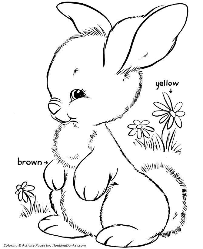 Easter Bunny Coloring Pages - Fluffy Bunny Coloring Pages