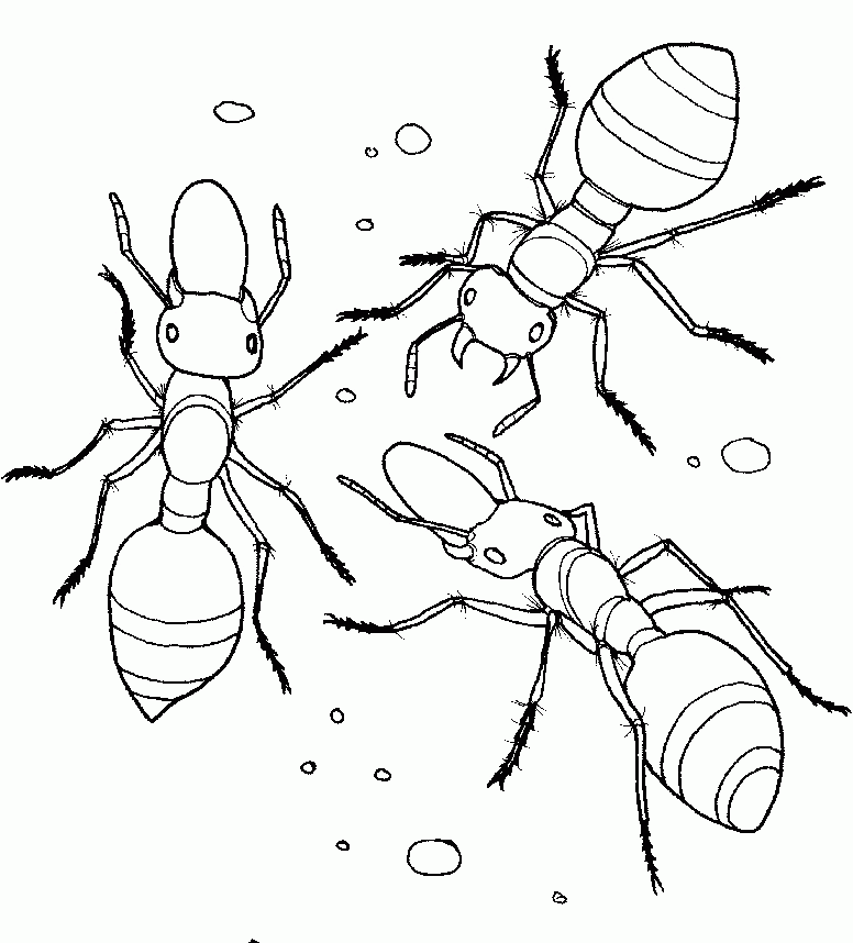 Free Free Printable Ant Coloring Pages Download Free Free Printable