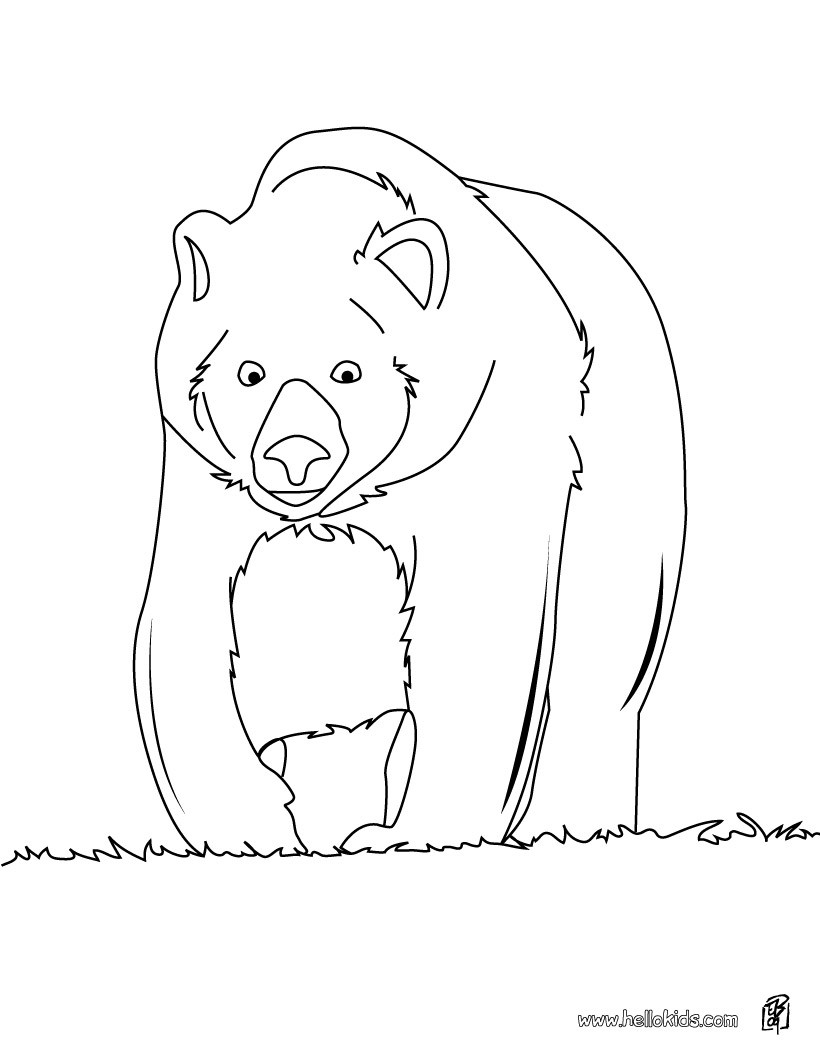 Big Brown Bear Coloring Pages | Coloring Page