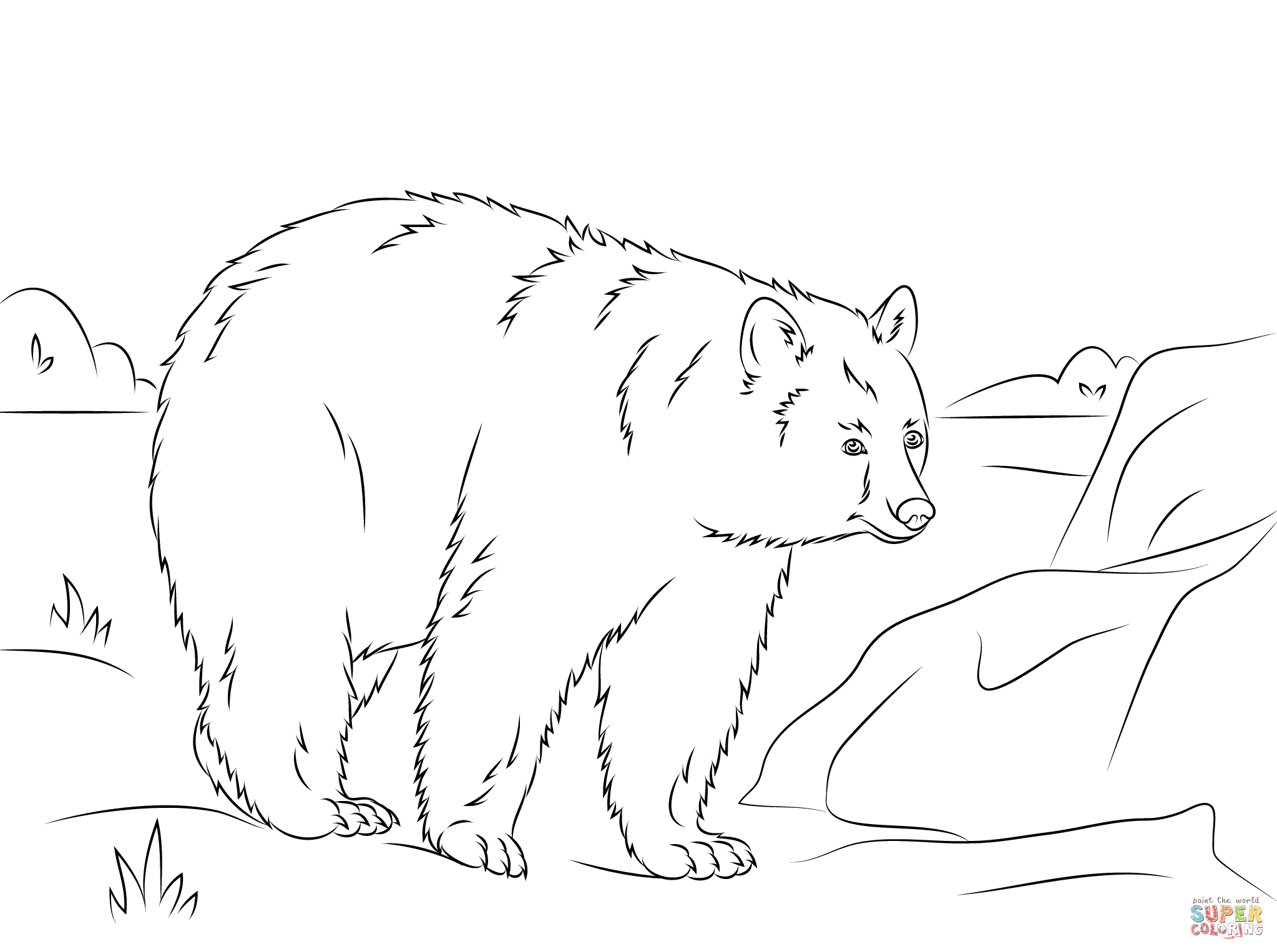 Black Bear Coloring Pages Printable | Coloring Pages For All Ages