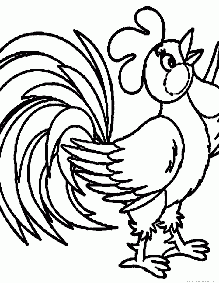 Rooster Coloring Pages 