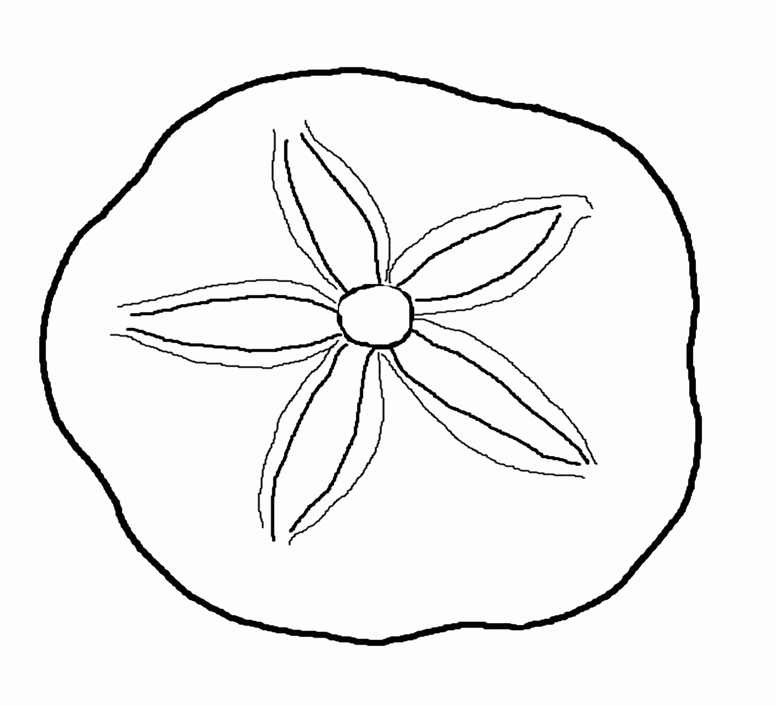 Best Photos of Ocean Sea Shell Coloring Pages - Clam Shell
