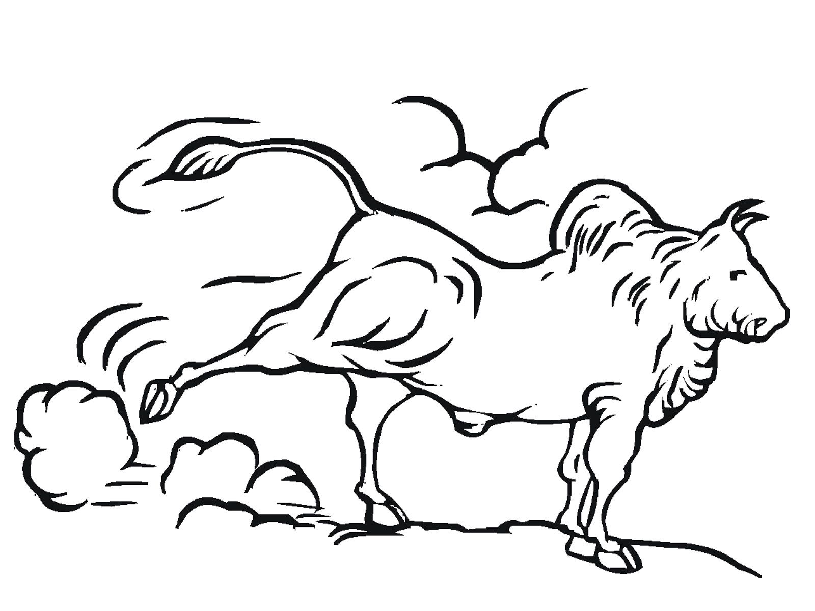 Bullriding Coloring Pages | Coloring Pages For All Ages