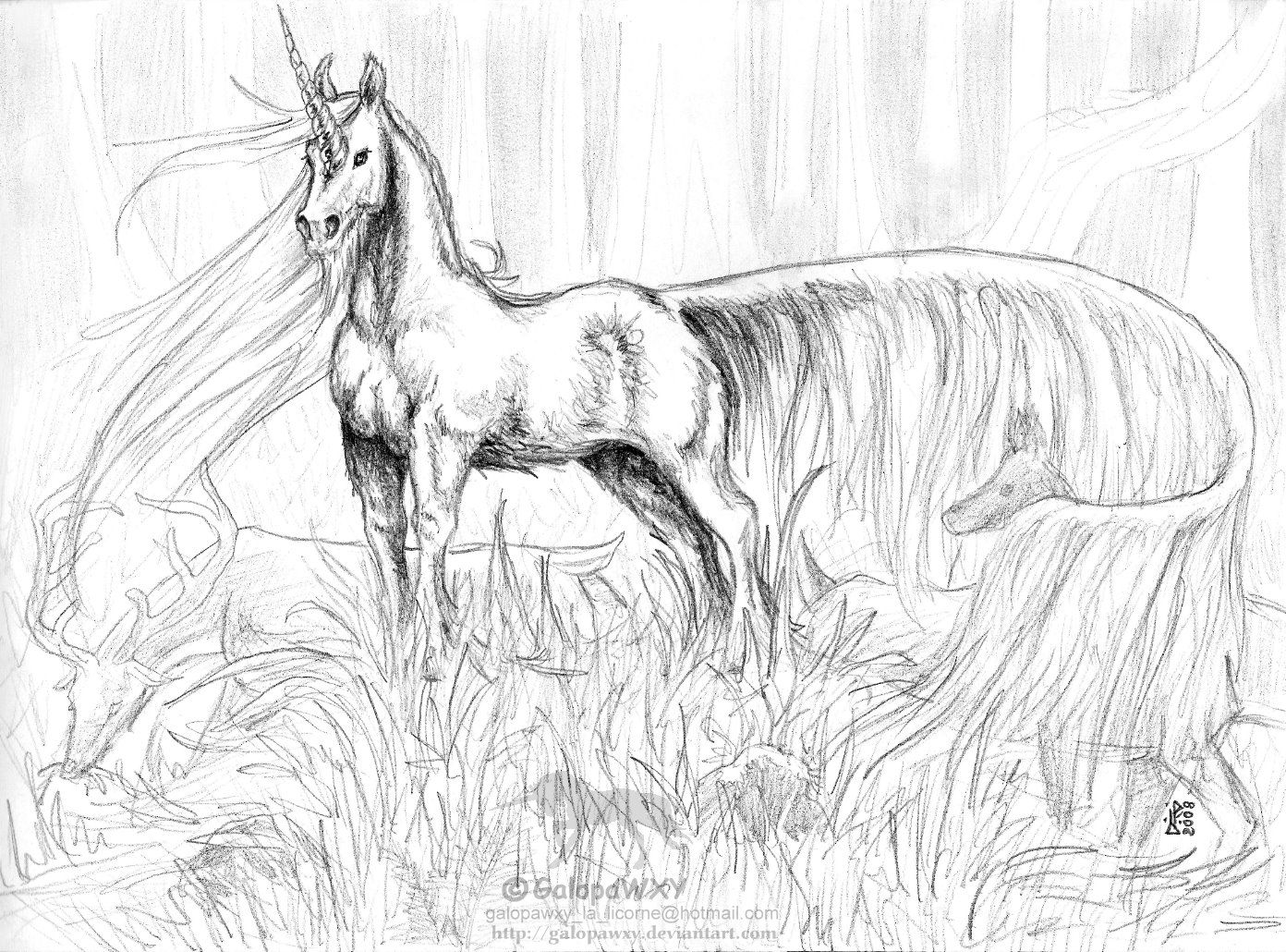 realistic unicorn colouring pages - Clip Art Library