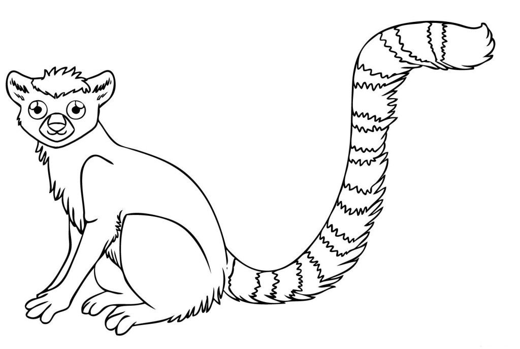 Free Rainforest Animals Coloring Pages Free, Download Free