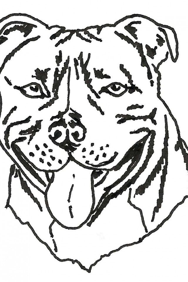 staffy colouring pages - Clip Art Library
