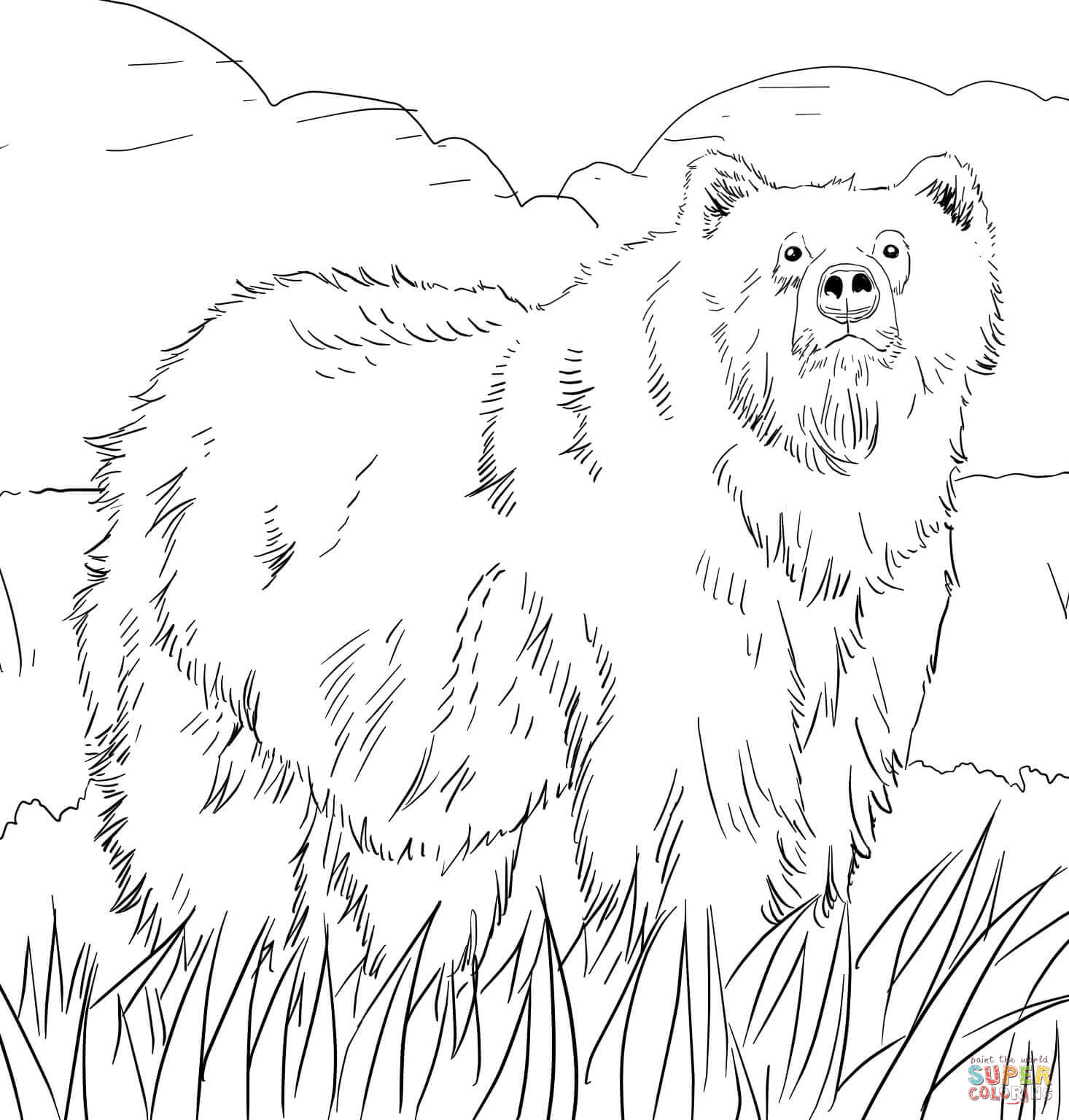 Realistic Grizzly Bear coloring page | Free Printable Coloring Pages
