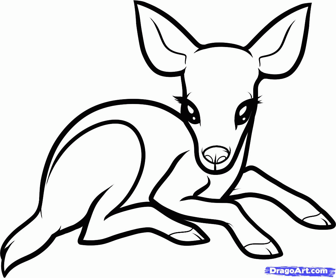 easy to draw baby deer - Clip Art Library