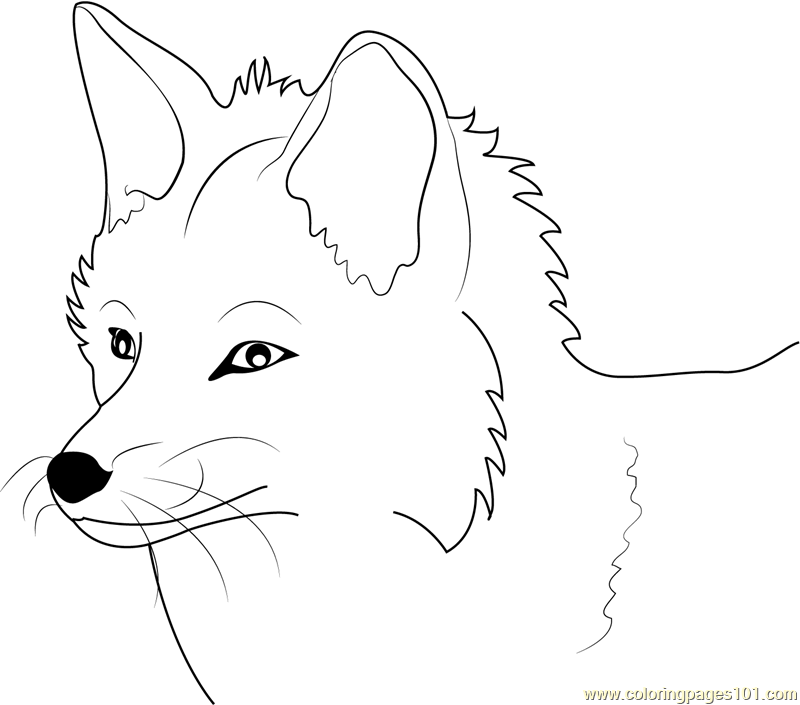 Fox Coloring Pages Free Printable