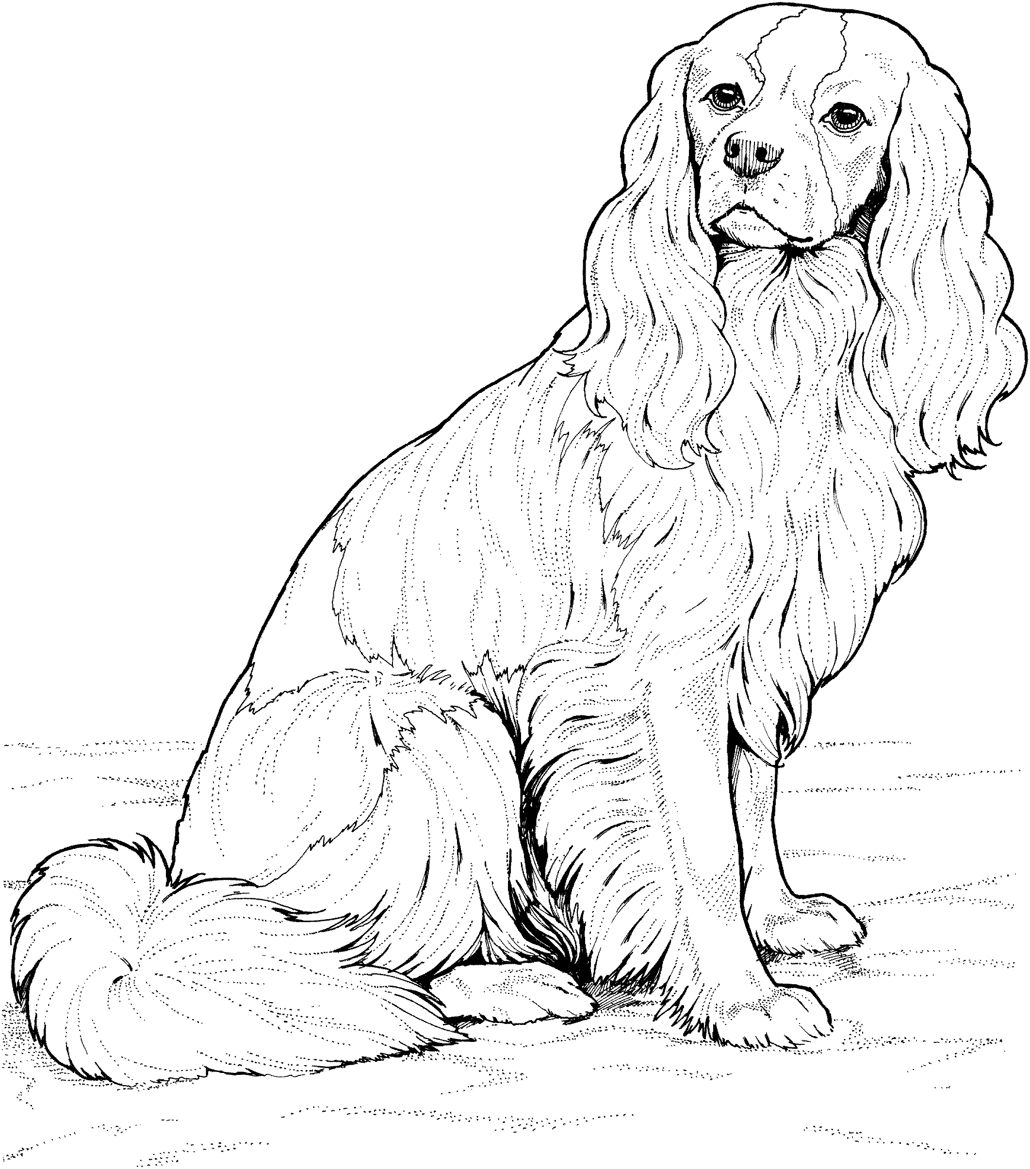 Free Golden Retriever Puppy Coloring Pages Printable, Download Free